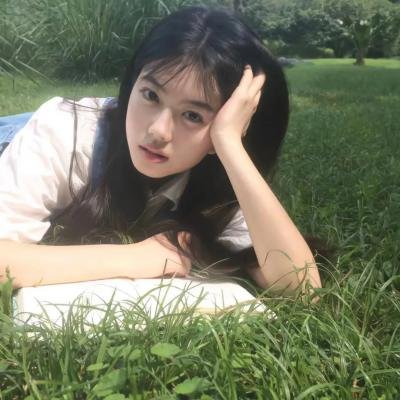 达太安的秘密打击 海报