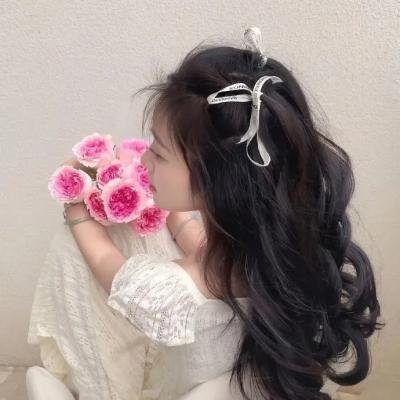 我的小狮王 海报